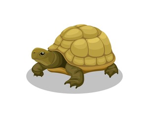 Turtle amphibian animal cartoon illustration vector - obrazy, fototapety, plakaty