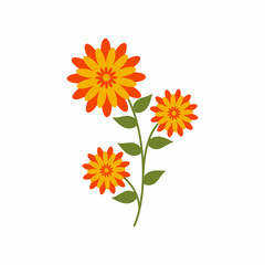 Beautiful large flower on green stem with buds. Yellow-orange daisy. Botanical elements. Meadow herbs, wildflower. Floral Herb Design elements. Spring botanical vector illustration on white background