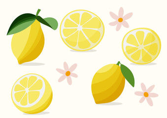 Set of slice and whole lime or lemon. Flat vector illustration isolated. Vector clip art