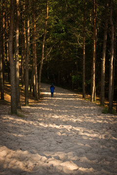 walk in the woods