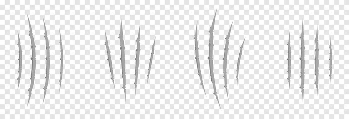 Vector scratches from the claws of the animal PNG. Set of various scratches on an isolated transparent background. Gray scratches PNG. Animal claws.