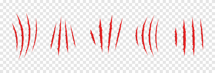 Vector scratches from the claws of the animal PNG. Set of various scratches on an isolated transparent background. Red scratches PNG. Animal claws.