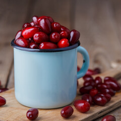 Dogberry or cornel berries or dogwood in iron cup