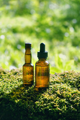 Glass Bottles of herbal essence extract on moss close up, abstract blurred natural background. eco friendly care organic product. beauty treatment, Spa concept.