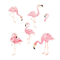 Watercolor set of illustrations of pink flamingos. 