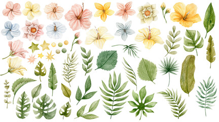 Watercolor set of illustrations of tropical flowers and leaves. - obrazy, fototapety, plakaty