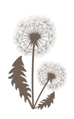 Vector illustration of Silhouette dandelions on a light background.
EPS10 for logos or labels, postcards, posters, stickers, wall decor, wallpaper,  etc. Wall art for decor
