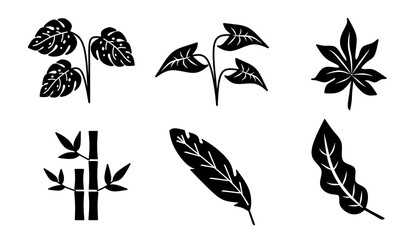 botanical icon black and white illustration design