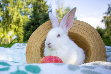 a white fluffy rabbit on a picnic with an apple and a hat. a bunny on the bedspread.