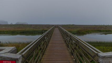 Obraz premium Bridge foggy morning beach rocks