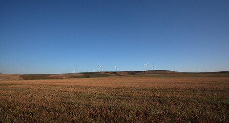 Obraz premium Wind turbines near Caledon, Western Cape, South Africa.