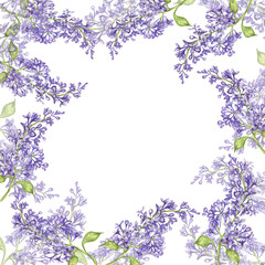 Obraz na płótnie Canvas Lilac. watercolor botanical illustration. lilac flowers. frame