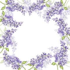 Obraz na płótnie Canvas Lilac. watercolor botanical illustration. lilac flowers. frame