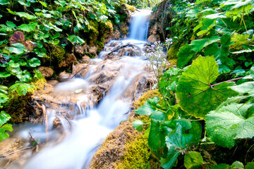Flowing Water, Dolomites