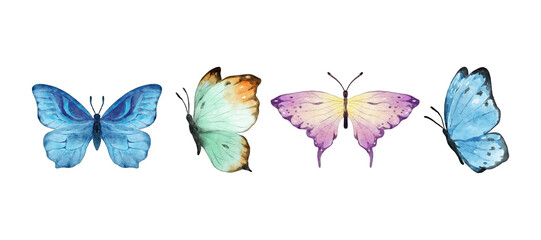 Colorful butterflies watercolor isolated on white background. Purple, orange, yellow and red butterfly. Spring animal vector illustration © abcvector