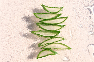 Close-Up of aloe vera plants over pastel. backgroundView of slices of aloe vera through glass with water drops.