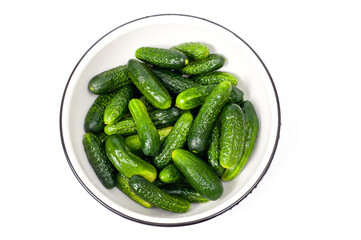 Fresh juicy clean cucumbers lying tightly next to each other. Preparing for conservation and salting.