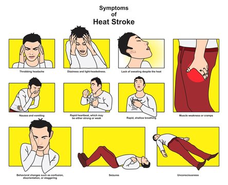 Symptoms Of Heat Stroke Infographic Diagram Headache Dizziness Cramps Nausea Vomiting Heartbeat Breathing Confusion Seizures Unconsciousness For Public Medical Awareness Poster Vector