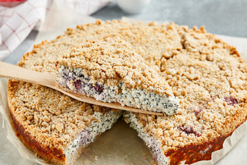 Sweet bakery - poppy pie with cottage on gray stone background. Poppy and cottage cheese cake in rustic style on stone table. Aesthetic composition with poppy seed pie. Cottage cheese dessert.