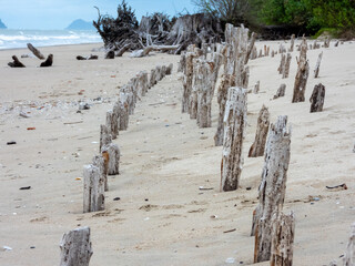 The breakwaters from Wooden piles