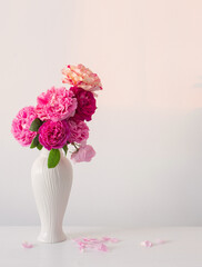 pink roses in white vase on table  on background white wall