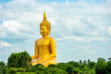 Obraz premium Golden Buddha statue sitting in a tree against a bright sky background in Ang Thong, Thailand. Concept leaves space.