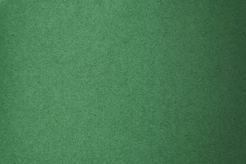 Empty Plain natural  leaf solid green color tone on recyclable paper texture minimalism background and space