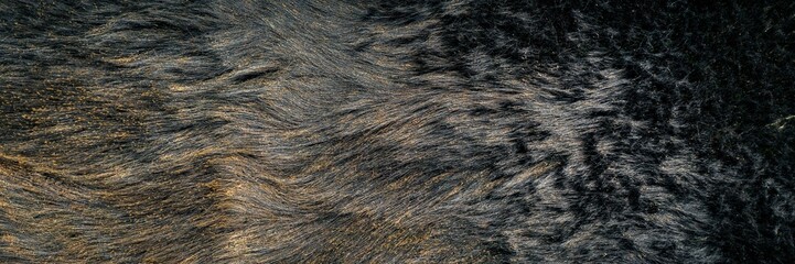 Abstract waves of plants fallen down by the wind