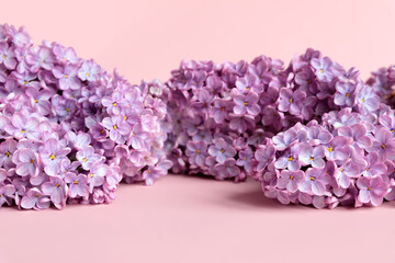 Obraz premium Lilac flowers a lot on pink background. Cosmetics product advertising backdrop. Empty place to display product packaging. Front view of flower frame, summer. Copy space.