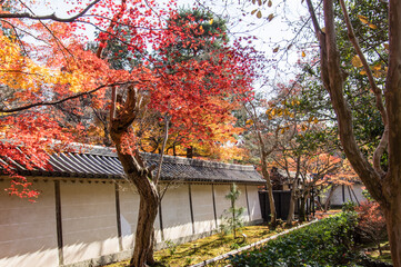 京都嵐山から嵯峨野周辺の紅葉