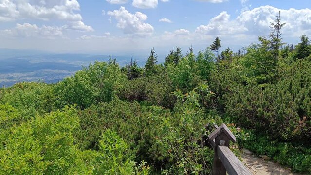 Tourist path at Babia Gora trail in Slaskie Beskidy, Poland