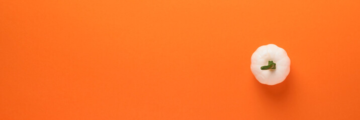 Orange Halloween background. One white pumpkin for Halloween. Black paper bat silhouettes on orange background. Autumn decoration. Banner. Halloween concept. Top view.