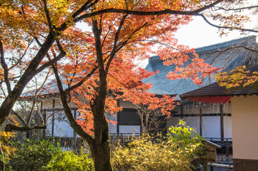 京都嵐山から嵯峨野周辺の紅葉