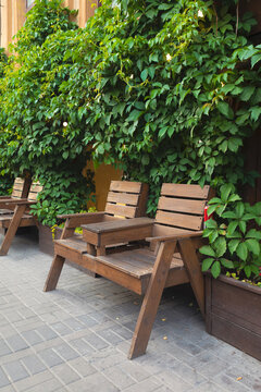 Wood bench in the bushes. Wood chairs with table in front of cafe.