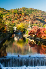 Fototapeta na wymiar 京都嵐山の紅葉