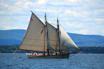 Fototapeta premium sailing ship in the sea