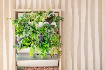 Eco metal planters with green plants in front of a bio-based home wall made of organic materials