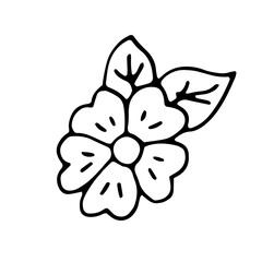 Flower on a white background. Plant. Bloom. Vector. Doodle. Hand drawn illustration. Sketch. Silhouette. Black and white. Contour. Coloring