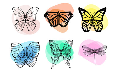 Butterfly icons set. Black outline of butterflies on an abstract background.
