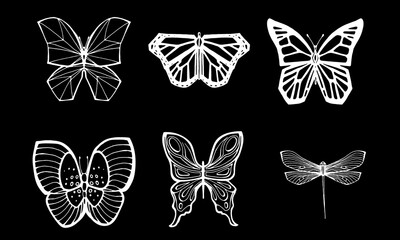 Set of white butterflies on a black background. Butterfly logos. Vector.