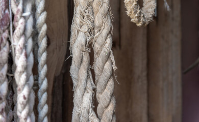 Vintage thick ropes hanging on the background of a wooden wall.