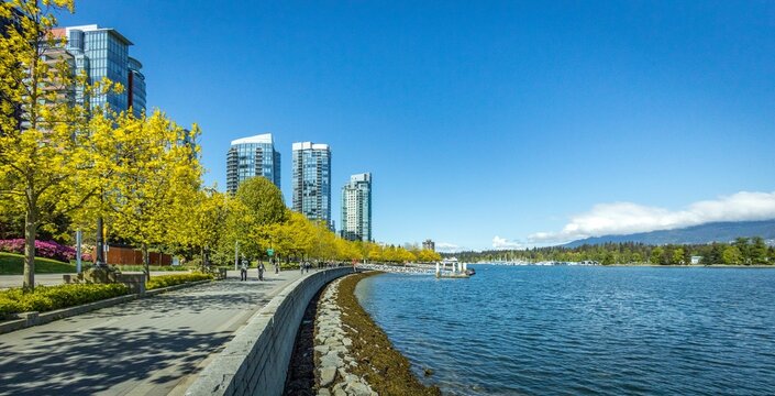 Mesmerizing view of the Coal Harbour with modern skyscrapers and green trees Vancouver, BC, Canada