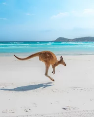 Foto op Plexiglas Vertical shot of a kangaroo jumping on a white sand beach © Dylan Dehaas/Wirestock Creators