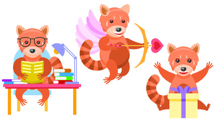Fototapeta premium Set Abstract Collection Flat Cartoon Different Animal Red Pandas Cupid With Bow And Wings, Surprised By The Gift, Studying At The Table Vector Design Style Elements Fauna Wild