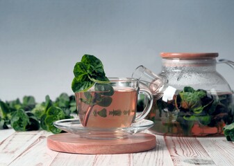 Cups with medicinal mint tea with a bunch of fresh mint and a teapot on a gray background. Herbal tea.