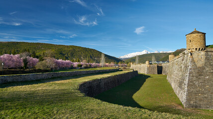 Fototapeta na wymiar Citadel of Jaca in spring time