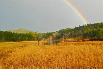 A rainbow over a marsh 