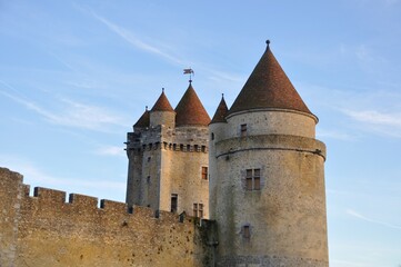 Fototapeta na wymiar Castle of Blandy les Tours in Seine et Marne