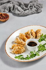 Oriental food - fried gyoza with sauce. Gyoza with pork in ceramic plate on gray concrete background.  Shrimp gyoza in minimal style. Aesthetic food menu.