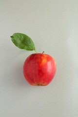 Closeup on red apple on the gray background. Copy space.